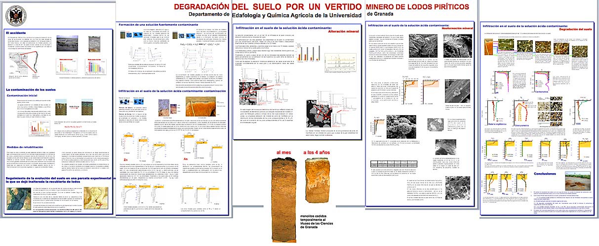 Mural de un suelo contaminado por un vertido de lodos piríticos