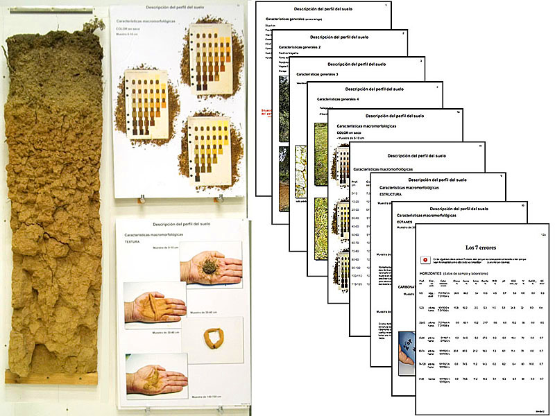 Póster múltiples y con cuaderno descriptivo